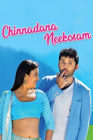 Chinnadana Nee Kosam 2014 Hindi Dual Audio 480p BluRay 400MB