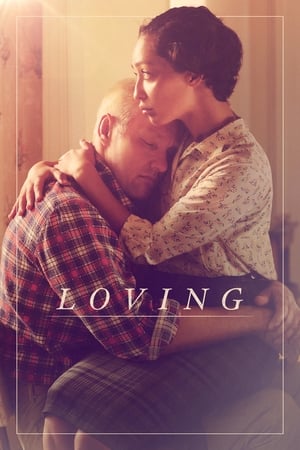 Loving (2016) Hindi Dual Audio 480p BluRay 420MB